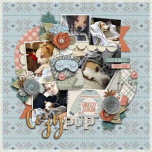 Cozy Pup