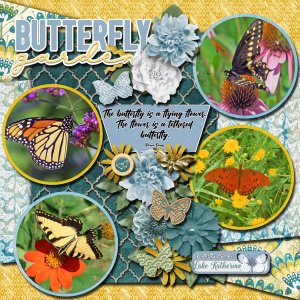 Butterfly Garden