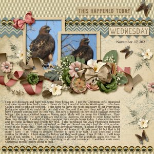 11-November-17_-2021