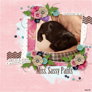 Miss Sassy Pants
