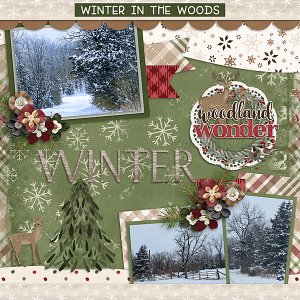 Winter Woods