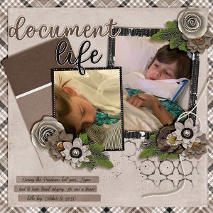 Document-Life