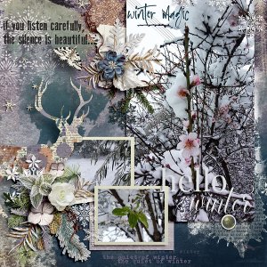 Winter Woods