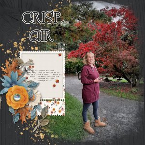 November Miss Fish Memory Mix Up Challenge