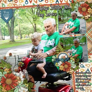 pawpaw-scooter-service-vacay