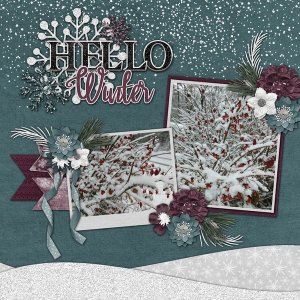 Hello Winter