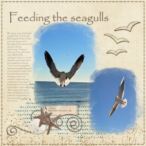Feeding the Seagulls: Nov. Miss Fish Challenge