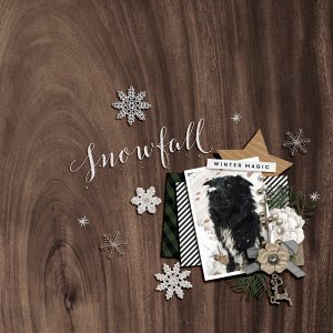 snowfall