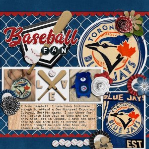 Blue Jays Baseball Fan