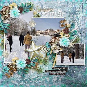 Winter wonderland