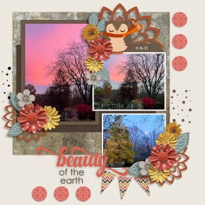 Beautiful Fall Evening