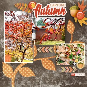 Capture Autumn