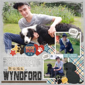 The Dogs of Wyndford