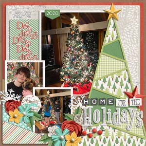 home for the holidays