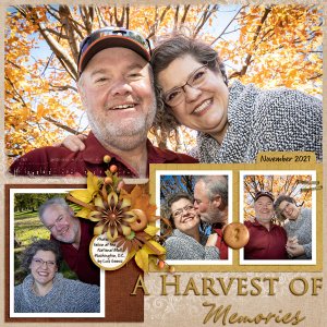 Harvest of Memories