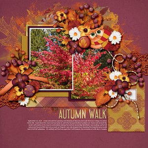 Autumn Walk