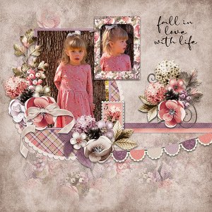 Fall in love with life
