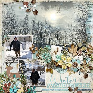 Winter Wonderland