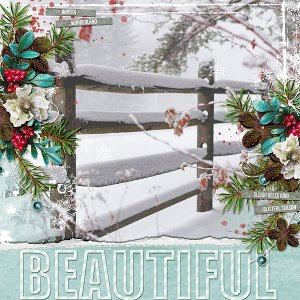Blissful Season