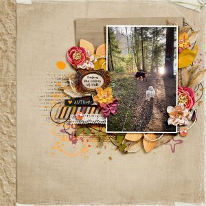 Enjoy the colors of fall