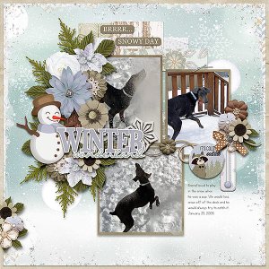 Winter Wonderland