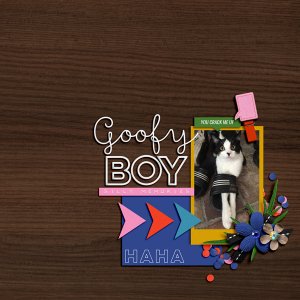 goofy boy