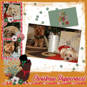 Christmas Pupperazzi