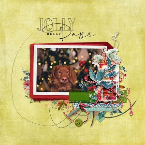 Holly Jolly Days