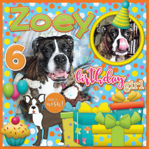 Happy Birthday Zoey