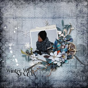 Winter Wish-Snow