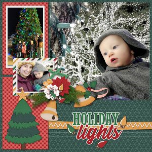 Holiday Lights