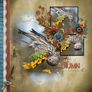 Autumn-Snack-web