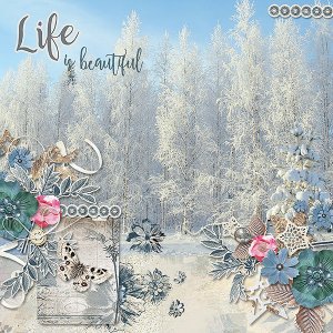 Winter Beauty