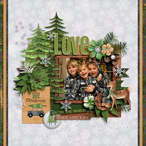 Home for the Holidays