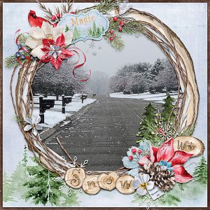 The Magic of Winter Snow