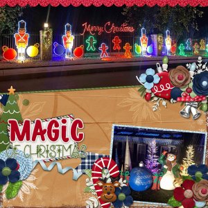 Christmas Lights