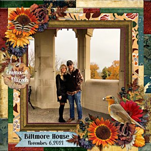 Micah and Emma Biltmore House