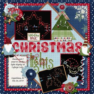 Christmas Lights Lafarge Lake 2019