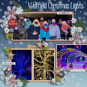 Wellfield Christmas Lights