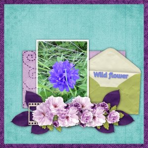 wild_flower