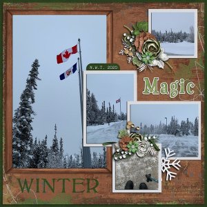 Winter Magic