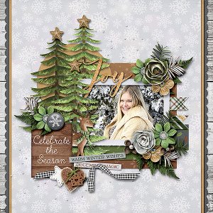 Winter Joy