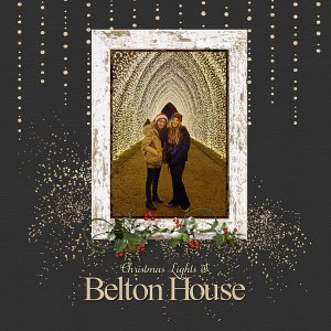 Christmas Lights at Belton House RHS