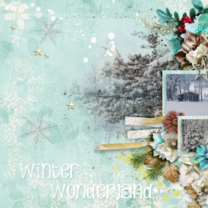 Winter-wonderland27