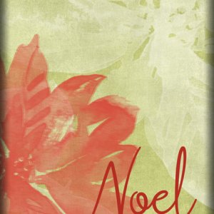 ATC 2021-035 Noel