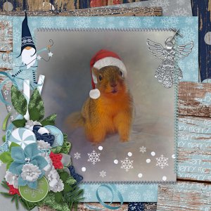 ready for christmas