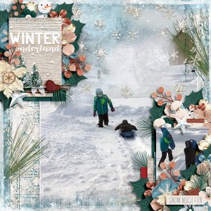 Winter Wonderland