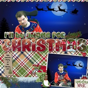 Gnome For Christmas