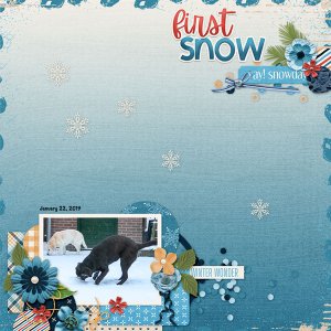 First Snow