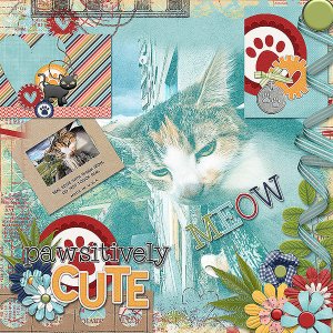 Pawsitively Cute